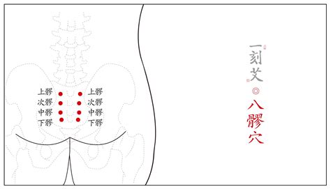 八廖穴位|八髎穴（上、次、中、下髎）详解